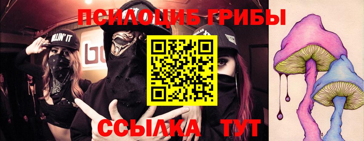 Псилоцибиновые грибы GOLDEN TEACHER  Вход с VPN  Грязи  Галлюциногенные грибы GOLDEN TEACHER 